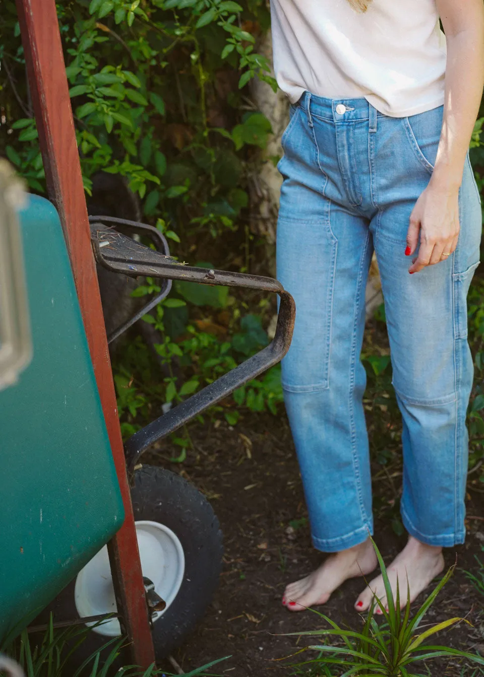 Hayley Pant || Lost