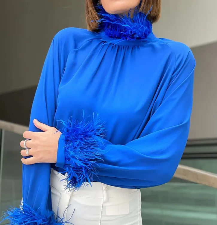 Long Sleeve Blouse Shirt  Elegant Top