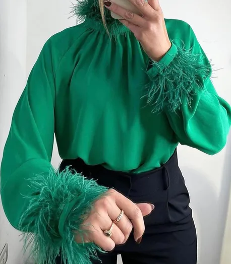 Long Sleeve Blouse Shirt  Elegant Top