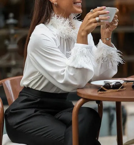 Long Sleeve Blouse Shirt  Elegant Top