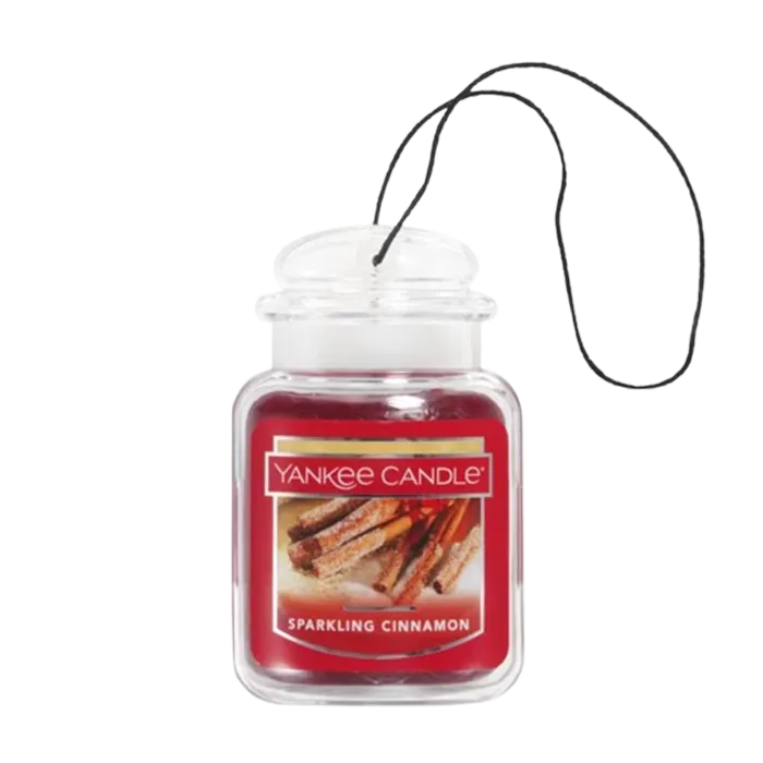 SPARKLING CINAMON – SINGLE CAR JAR
