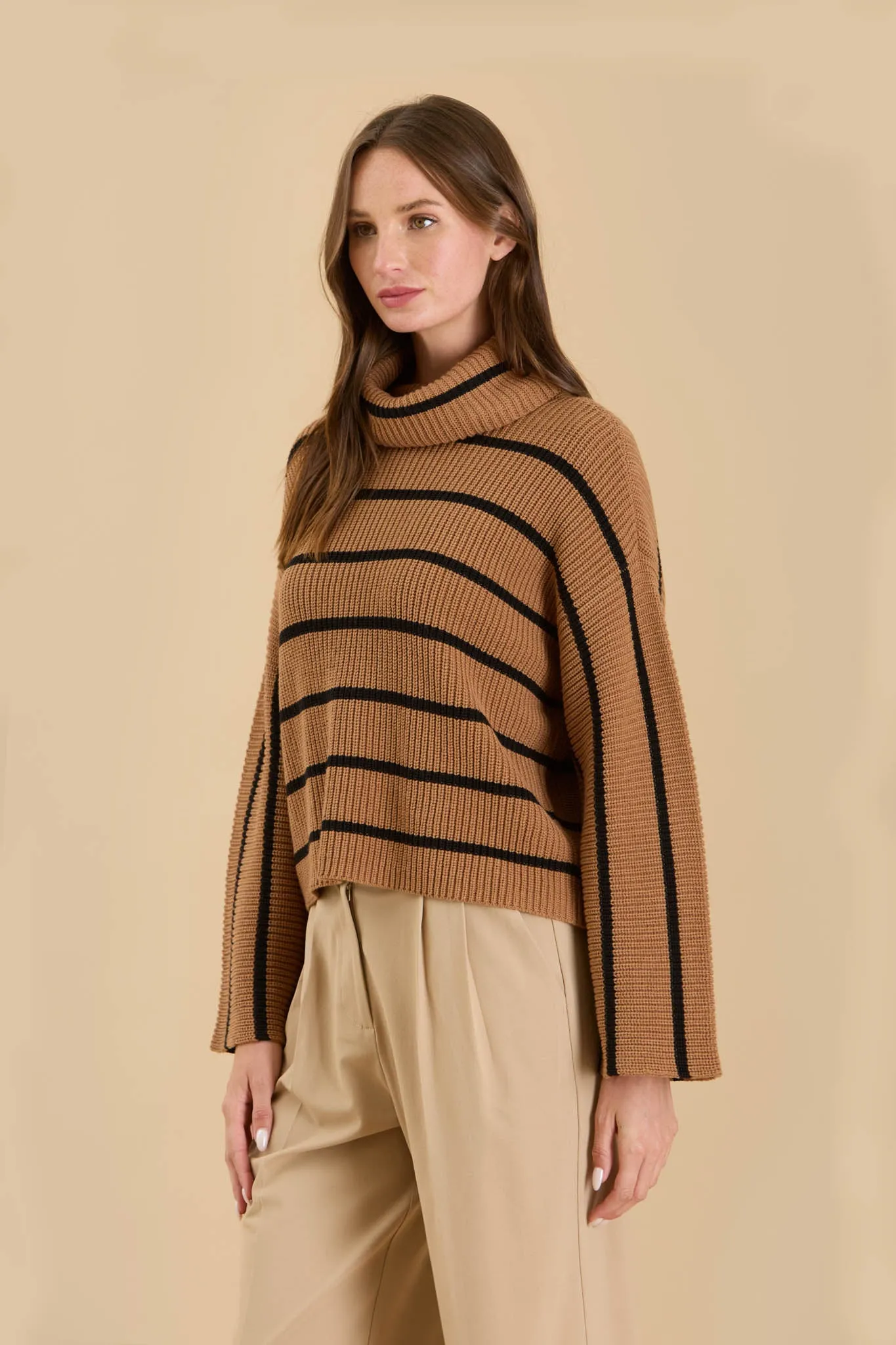 STRIPE TURTLENECK LONG WIDE SLEEVE KNIT SWEATER